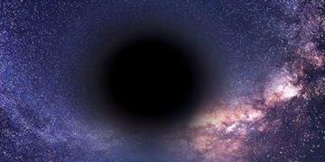 Black Hole Universe