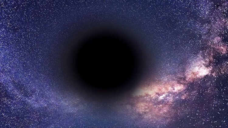 Black Hole Universe