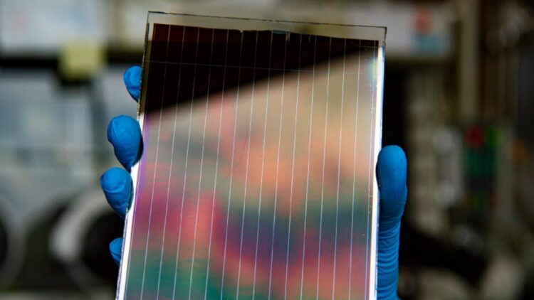 perovskite solar panels