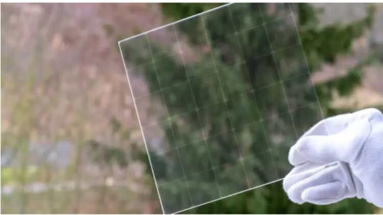 transparent solar panel