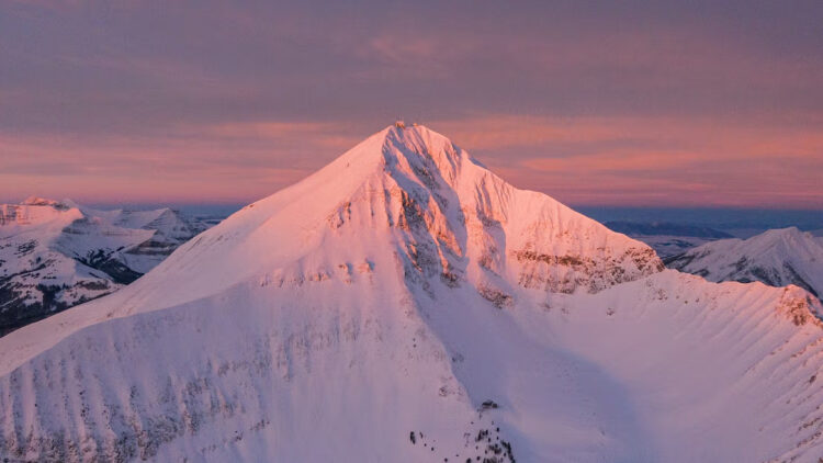 Pink snow