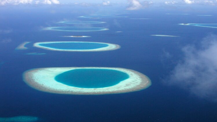 The Coral Triangle